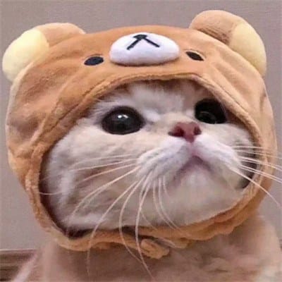 Fajar Nugroho avatar