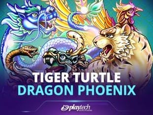 Tiger Turtle Dragon Phoenix screenshot